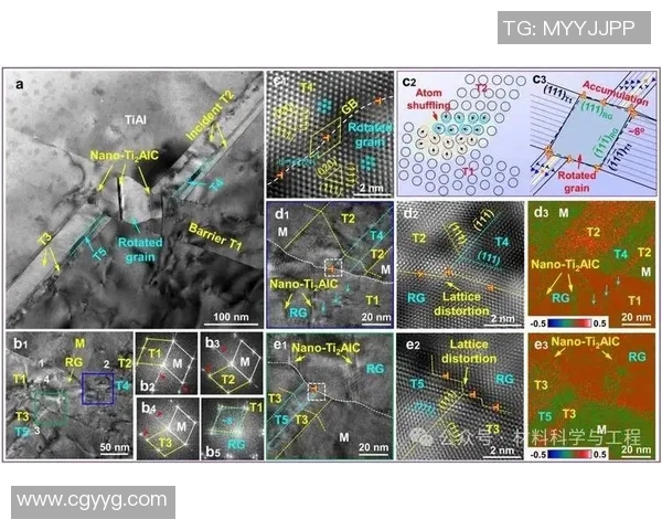 广州网球队灵活应变的策略与发展探讨